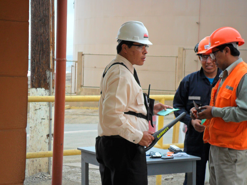 Seguridad Residencial